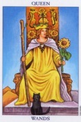 Tarot