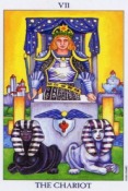 Tarot